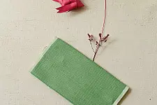 Mountain Loom ✜ Handloom Cotton Scarf - Light Green