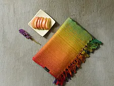 Falguni | Handloom Himalayan Woolen Shaded Stole 