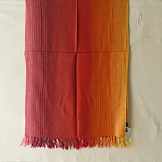 Falguni | Handloom Himalayan Woolen Shaded Stole