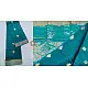 online shop handwoven chandri silk saree