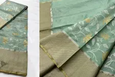 Padmapriya | Handwoven Chanderi Silk Saree - Pistachio Green