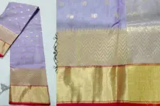 Padmapriya | Handwoven Silk - Chanderi Golden Border Saree