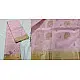 online Chanderi Silk Handwoven Saree - Light Pink with Golden Butta