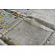 Handloom Chanderi yellow flower Printed Saree 