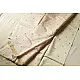 Handwoven Printed Chanderi Saree - Strawberry Motif