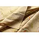 Handloom Chanderi Tissue Silk Saree Beige