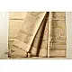 Handloom Chanderi Tissue Silk Saree Beige