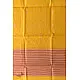 shop Chanderi Woven Boota - Zari Daaman Dupatta
