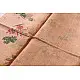 Handloom Printed Chanderi Light Pink Saree