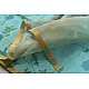 Handloom Printed Chanderi Sky Blue Saree