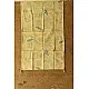 shop hand printed Beige stoles