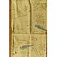shop hand printed Beige stoles