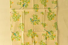 Nisarg . निसर्ग ✮ Printed Cotton Stole - Parrot Bird Motif