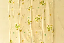 Nisarg . निसर्ग ✮ Printed Cotton Off White Stole