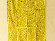 Nisarg . निसर्ग ✮ Hand Block Printed Cotton Stole - Parrot Green
