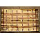 मलय ✽ Handloom Cotton Zari Saree With Buti ✽ 10