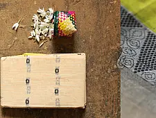 मलय ✽ Handloom Cotton Zari Saree With Buti ✽ 2