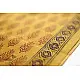 Bagh Printed Cotton Fabric (2.5 Mtr.) ❁ 2