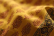 Bagh Printed Cotton Fabric (2.5 Mtr.) ❁ 2