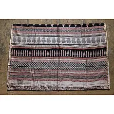 Chinmayi ~ Bagh Printed . Chanderi Saree |14