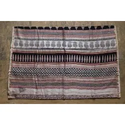 Chinmayi * Bagh Printed . Chanderi Saree * 14