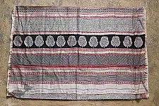 Chinmayi ~ Bagh Printed . Chanderi Saree | 20