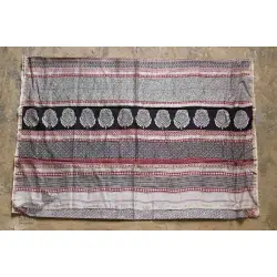 Chinmayi * Bagh Printed . Chanderi Saree * 20