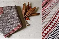 Chinmayi ~ Bagh Printed . Chanderi Saree | 20