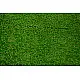 shop online gajji silk bandhni parrot green saree