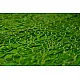 shop online gajji silk bandhni parrot green saree