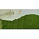shop online gajji silk bandhni parrot green saree