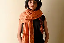 Preet ~ Hand Embroidered Phulkari Silk Stole - Brown