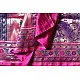 Ashaavali | अशावली ⁂ Gujarati Brocade ⁂ Silk Saree ⁂ 2