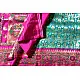 Ashaavali | अशावली ⁂ Gujarati Brocade ⁂ Silk Saree ⁂ 3