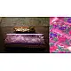 Ashaavali | अशावली ⁂ Gujarati Brocade ⁂ Silk Saree ⁂ 2