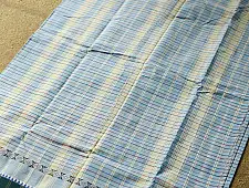 Iravati | Narayanpet Handloom Cotton | Sky Blue