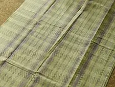 Iravati | Narayanpet Handloom Cotton Saree | Light Olive Green