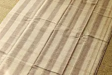 Iravati | Narayanpet Handloom Cotton Saree -  Fawn
