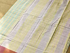 Iravati | Narayanpet Handloom Cotton Saree | Pastel Colour