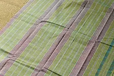 Iravati | Narayanpet Handloom Cotton Saree |  Olive Green