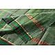 shop Narayanpet Handloom Cotton Bottle Green Checks Saree