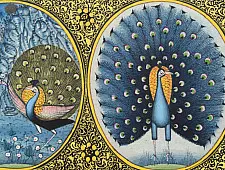 Miniature Painting ~ Mayur {A}
