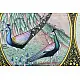 Miniature Painting ~ Mayur {C}