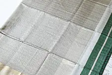 Pavitra . पवित्रा | Handloom Maheshwari Silk Green Saree ~ Zari Pallu