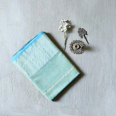 Pavitra . पवित्रा | Handloom Maheshwari Silk Saree ~ Green & Blue 