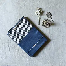 Pavitra . पवित्रा | Handloom Maheshwari Silk Saree ~ Blue / Zari Pallu