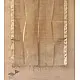 सुगंधिका ✻ Maheshwari ✻ Silver Zari Stole ✻ A 1