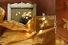 सुगंधिका - Maheshwari Zari Border stole - Yellow | C 4