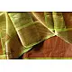 Tussar Checks Saree with Zari Border