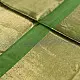 buy Handloom Maheshwari Silk Green Saree - Half-Half Golden Zari Weaving